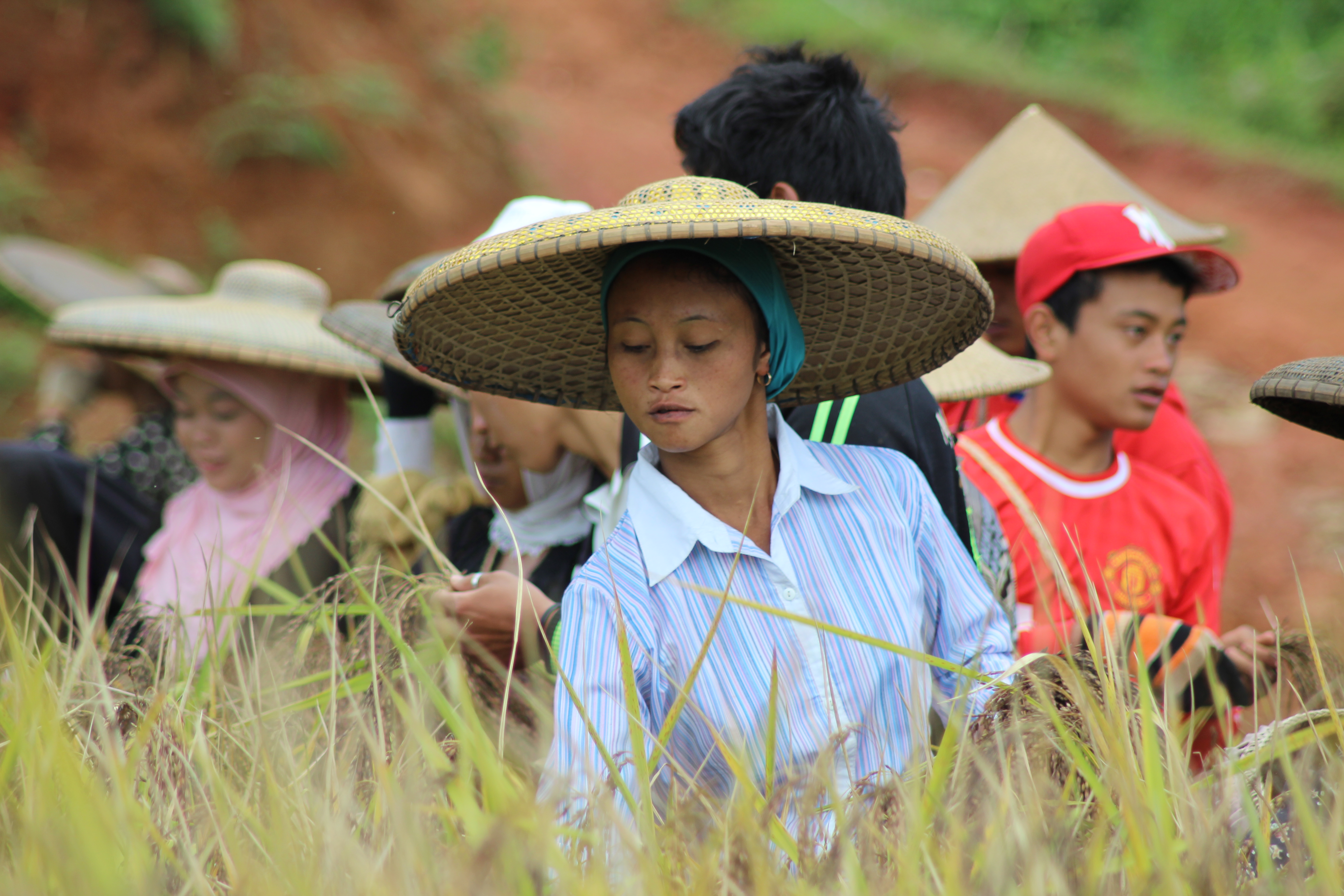 Caping dan Kehidupan Tani